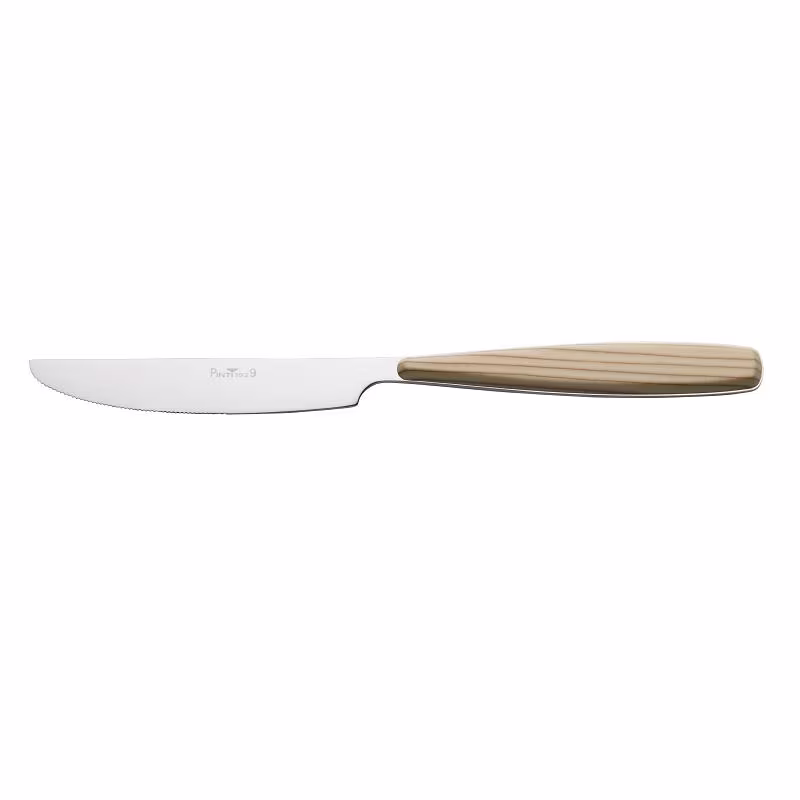 Нож столовый riva birch 22a000l3