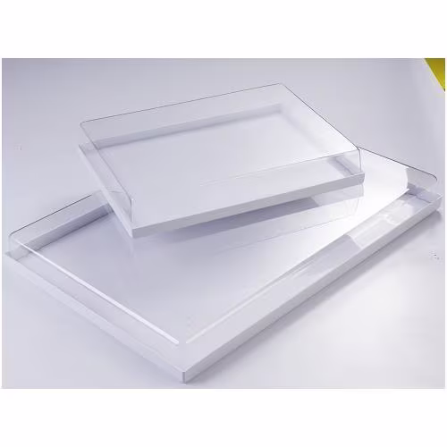 Поднос 59х39см h6см, пластик, с прозрачной крышкой vc60x40