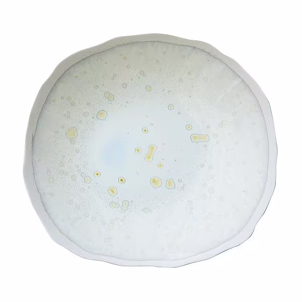Тарелка мелкая 22х20см, керамика, цвет nacre, plume 963038