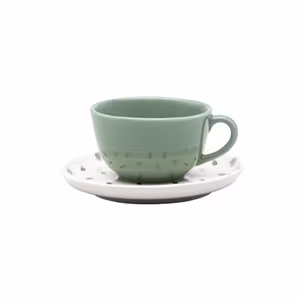 Пара чайная flat shape samambaia (чашка 200мл и блюдце 14см) oxford 136232, ao04-1c01