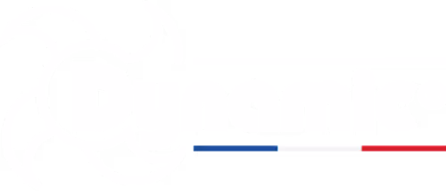 Логотип Dynamic